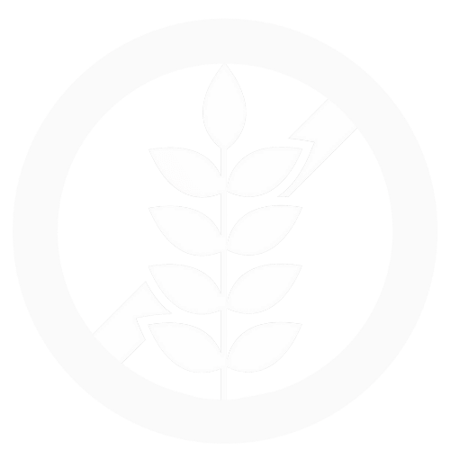 gluten free snack ammi