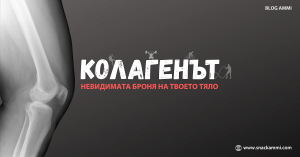 colagen - blog AMMI snackammi.com